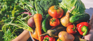 6. Bio-Fachforum Gem&uuml;se und Kartoffeln