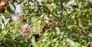 Bio-&Auml;pfel bleiben auch im Fr&uuml;hjahr und Sommer eine Schl&uuml;sselkategorie