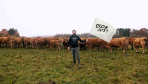 Bio-Rind wertsch&auml;tzen: von Anfang bis Ende