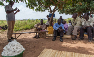 Bessere Lebensbedingungen f&uuml;r Ugandas Bio-Bauern