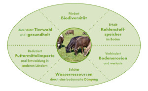 K&uuml;he und Klimaschutz