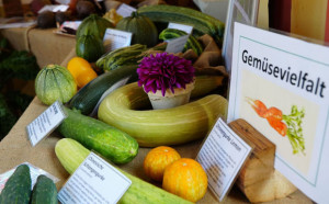 Vielfaltstag in Wei&szlig;enfels