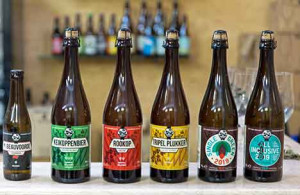 Bio-Bier aus eigenem Hopfen