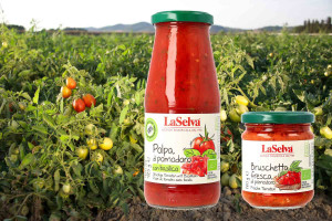 Neue Bruschetta &amp; Polpa