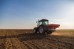 Niederlande m&uuml;ssen Stickstoff-Emissionen in der Landwirtschaft verringern