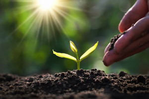 Biodynamisch schlie&szlig;t biozyklisch aus?