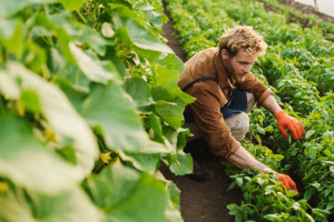 Weltern&auml;hrungstag 2025: Bio-Landwirtschaft als Schl&uuml;ssel zur Ern&auml;hrungssicherheit