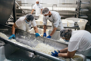 Bio-Branche schafft Arbeit f&uuml;r 380.000