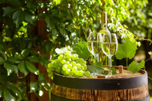 Gr&uuml;nes Licht f&uuml;r alkoholfreien Bio-Wein