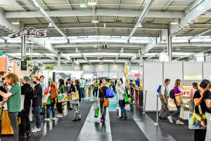 BioS&uuml;d: Gelungenes Comeback in Augsburg