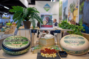 Besondere Milch, besonderer K&auml;se