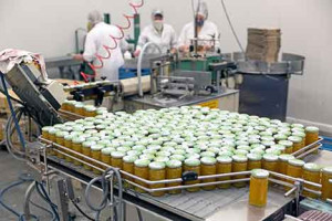 Heidelbeersaft vom Strauch in die Flasche