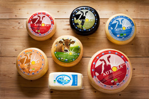 Bio-K&auml;se hat immer Saison