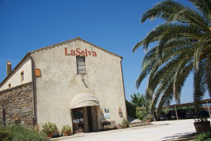 Cucina raffinata &amp; originale