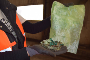 Kompostierbares Bioplastik ist &bdquo;dreiste L&uuml;ge&ldquo;