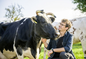 Alnatura setzt auf Bio-Weidemilch