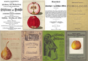 Sammlung alter Obstsorten