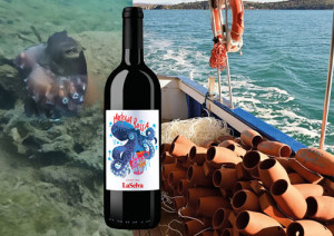 Casa dei Polpi: LaSelva bringt Wein und Meeresschutz zusammen