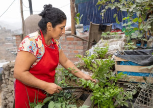 Gesunde Ern&auml;hrung: &Uuml;ber drei Milliarden Menschen haben keinen Zugang