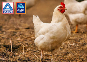 Aldi unterst&uuml;tzt Europ&auml;ische Masthuhn-Initiative