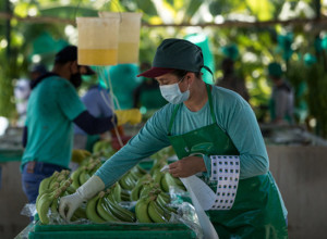 Resilienz durch Fairtrade