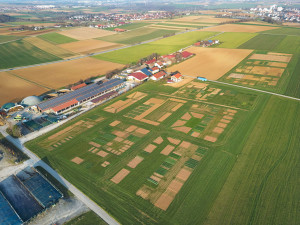 Tipps von Anbau bis Vertrieb: Die BLE auf den &Ouml;ko-Feldtagen 2023