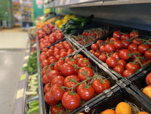 Saisonstart Bio-Tomaten