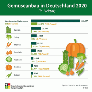12,9 Prozent Bio im Gem&uuml;seanbau