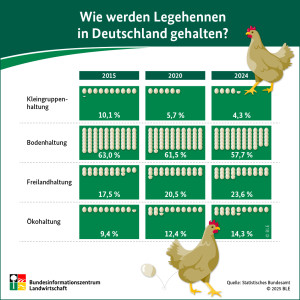 Wie werden Legehennen in Deutschland gehalten?