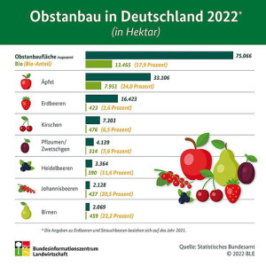 Deutscher Obstanbau 2022