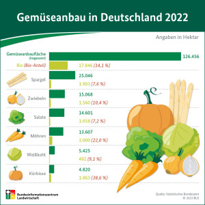 Gem&uuml;seanbau in Deutschland