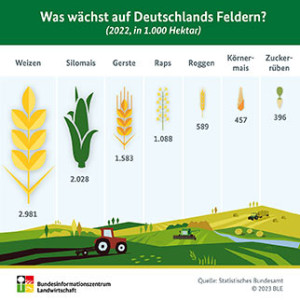 Was w&auml;chst auf Deutschlands Feldern?