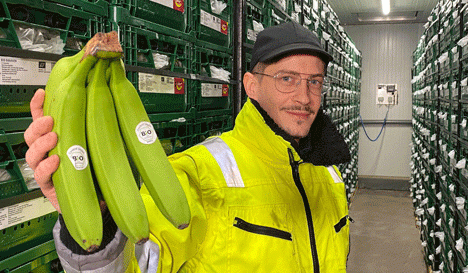 Mehr Mehrweg bei BioTropic
