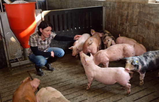 Bio-Verb&auml;nde fordern Bekenntnis zum Umbau der Tierhaltung