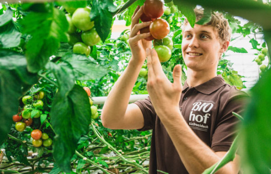 Regionales Bio-Fruchtgem&uuml;se hat wieder Saison