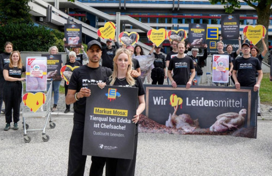 Tiersch&uuml;tzer protestieren vor Edeka-Zentrale