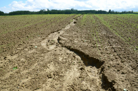 EU-Bericht: Zustand der B&ouml;den besorgniserregend