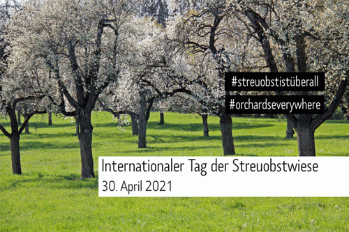 Erster Tag der Streuobstwiese