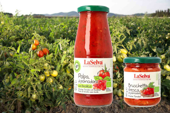 Neue Bruschetta &amp; Polpa