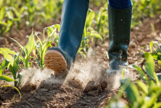 Studie best&auml;tigt Klimaschutzpotenzial des &Ouml;kolandbaus