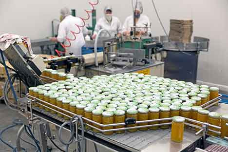 Heidelbeersaft vom Strauch in die Flasche