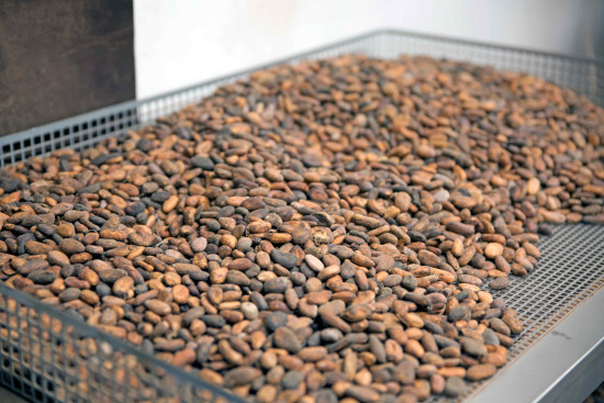 Geschmackserlebnis Kakao