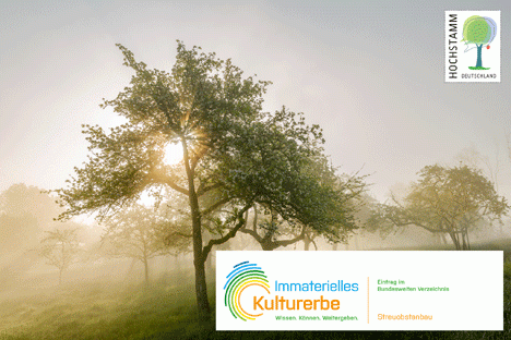 Streuobstanbau ist Immaterielles Kulturerbe