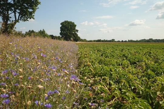 B&uuml;ndnis fordert Politikwechsel f&uuml;r mehr Biodiversit&auml;tsschutz