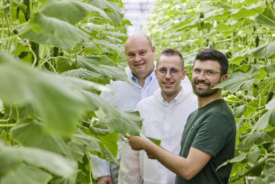 Alnatura bezieht Bio-Gem&uuml;se von neuem Regionalpartner