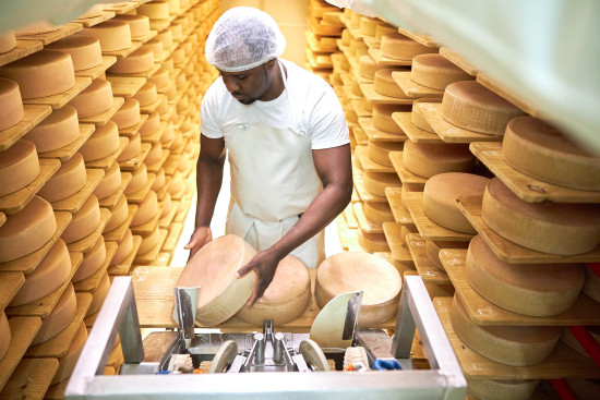 Bio-K&auml;se-Vielfalt von Hofk&auml;se bis Feta