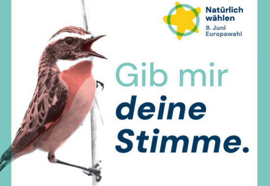 Nat&uuml;rlich w&auml;hlen: Umweltsch&uuml;tzer liefern Parteien-Check