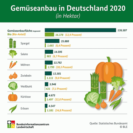 12,9 Prozent Bio im Gem&uuml;seanbau