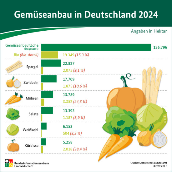 Gem&uuml;seanbau in Deutschland 2024