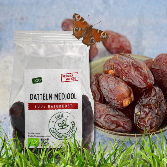 Nat&uuml;rlich naschen - Bio&nbsp;Medjool Datteln